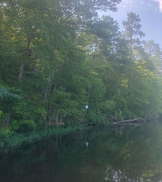 1st image of 2 County Road 19 #1