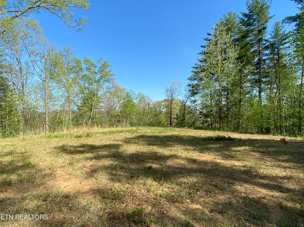 134 Upper Towee Ln, Reliance, TN 37369