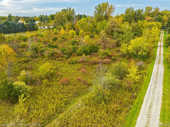 2nd image of 7 Mile Rd