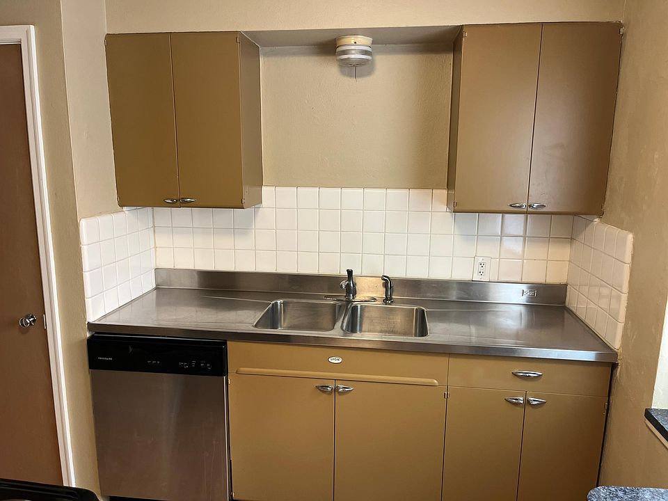 Double Stainless Sink and Counter top