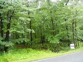 1st image of 339 Fernway Dr
