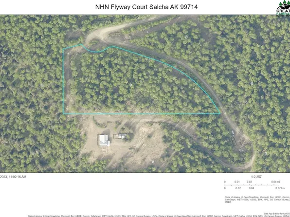 Nhn Flyway Ct, Salcha, AK 99714