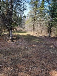 N Luds Ln, Winter, WI, 54896