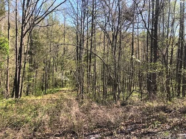 Cedar Hills Dr, Mountain View, AR 72560