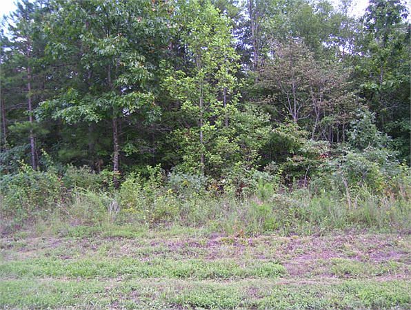2nd image of 19390 Key Hollow Ln
