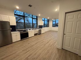 1600 West Hunting Park - Residential