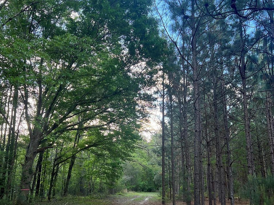 0 Wagener Rd Wagener, SC, 29164 Apartments for Rent Zillow