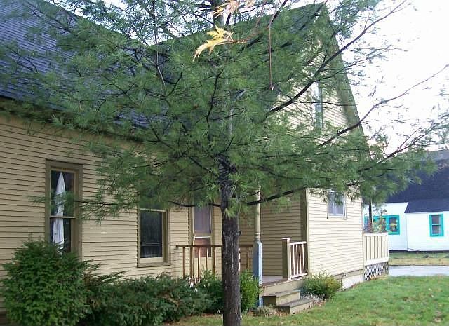 2nd image of 543 W 10th St