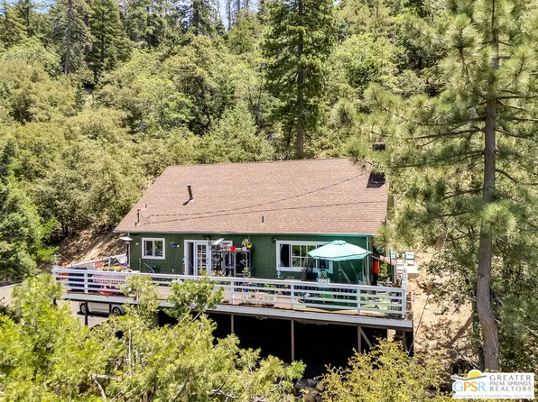 23971 Sky View Dr, Idyllwild, CA 92549