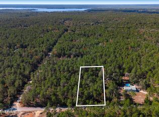 1027 PINEAPPLE Street, Welaka, FL 32181