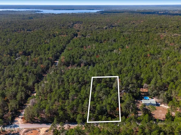 1027 PINEAPPLE Street, Welaka, FL 32181