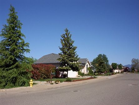 South Corner Front View