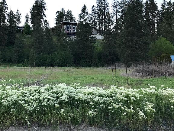 View of Property