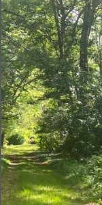 6 Plain St #6, Middleboro, MA, 02346