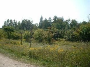 Lyman Rd, Kaleva, MI 49645