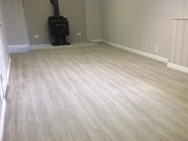 Basement family room