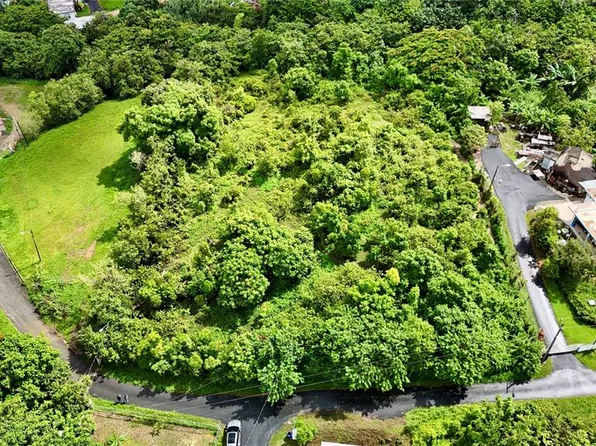 Bo Ceiba Carr 935, Las Piedras, PR 00771