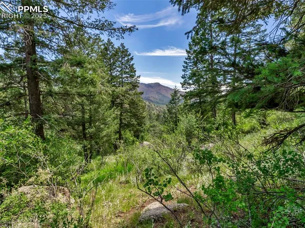 Mountain Avenue Grn, Cascade, CO 80809