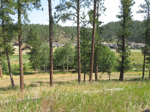 LOT 8 Other, Hill City, SD 57745