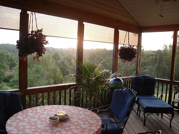 View of Wooded Valley