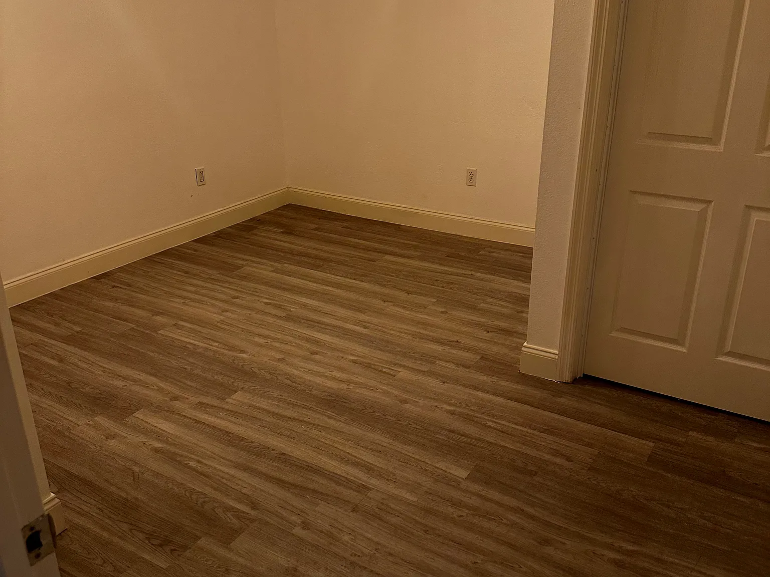 100 Palm Ln — Photo 3