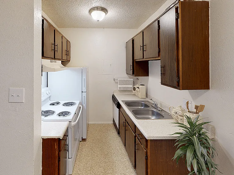 Double-Bowl Sink