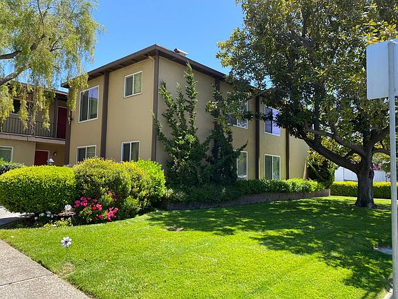 3rd image of 240 Di Salvo Ave APT 11