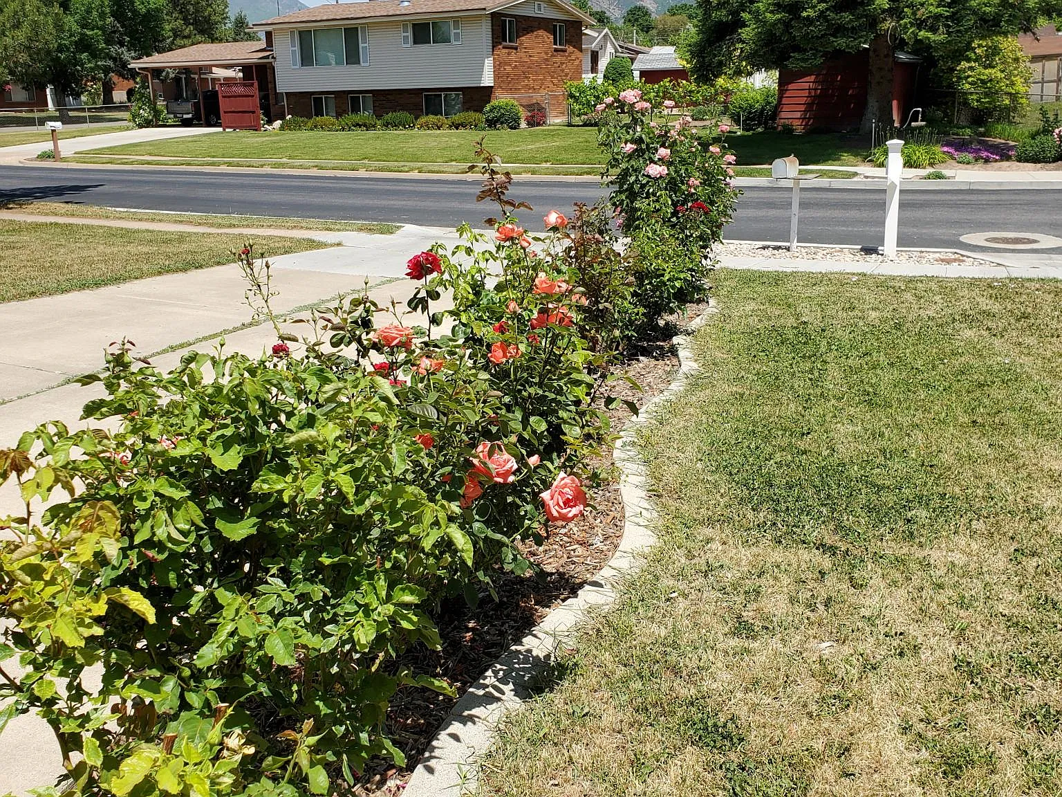 5 bed, 1825 sqft, $2,200 — Photo 4