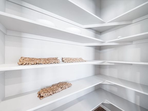 Primary closet of Triumph floorplan