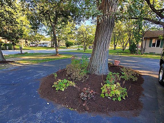 4th image of 8822 Park Ln