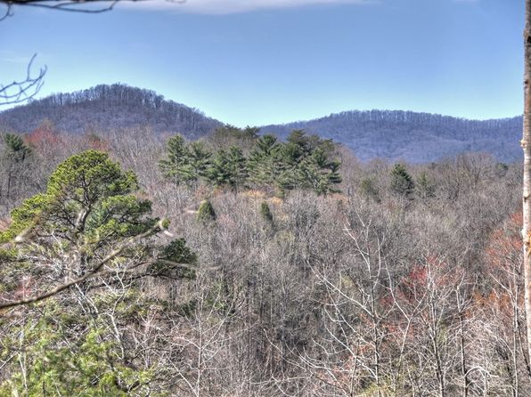 1204 Settlers Ridge Rd, Ellijay, GA 30540