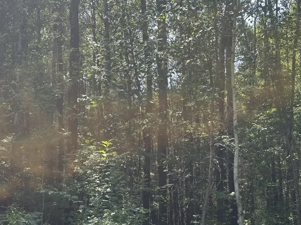 Pergande Rd Tract 1079, Rhinelander, WI 54501