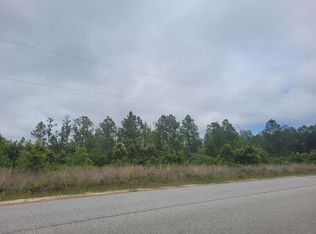 3.31 Lee Place Rd NE, Ludowici, GA 31316