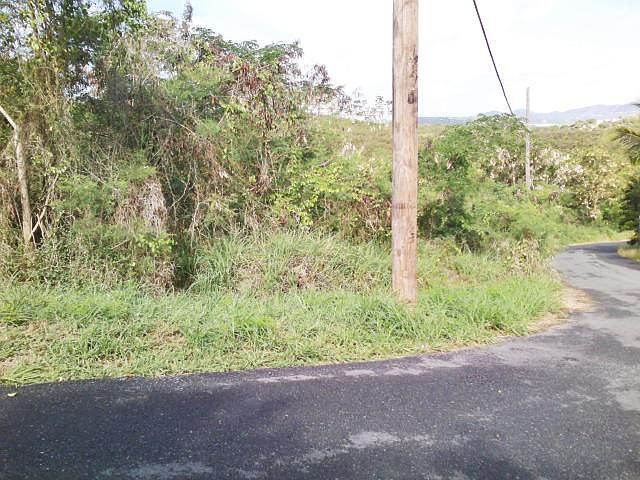 1st image of 91 Mt. Pleasant East
