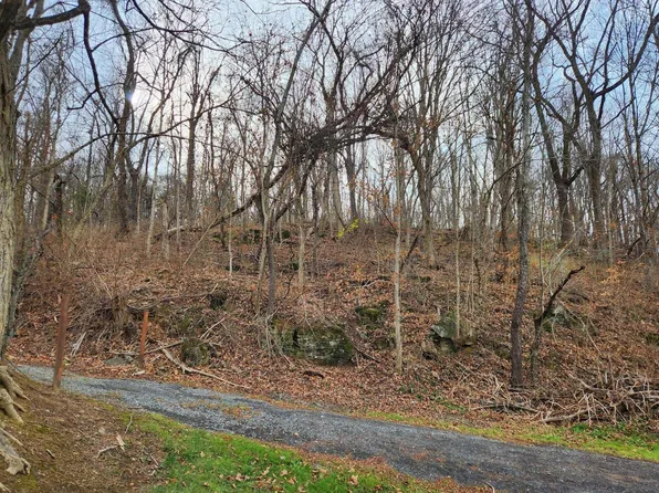 0 W Parklin Dr, Covington, VA 24426