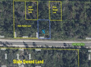 3347 Lake June Blvd, Lake Placid, FL 33852