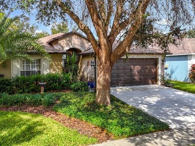 1311 Salt Clay Ct, Zephyrhills, FL, 33544