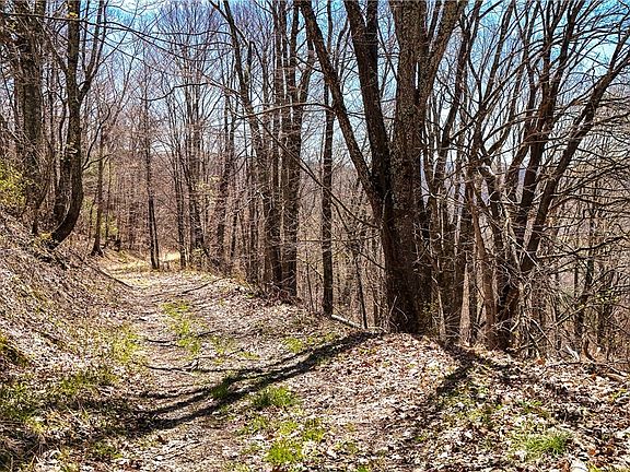 2nd image of 7277 Beech Mountain Road
