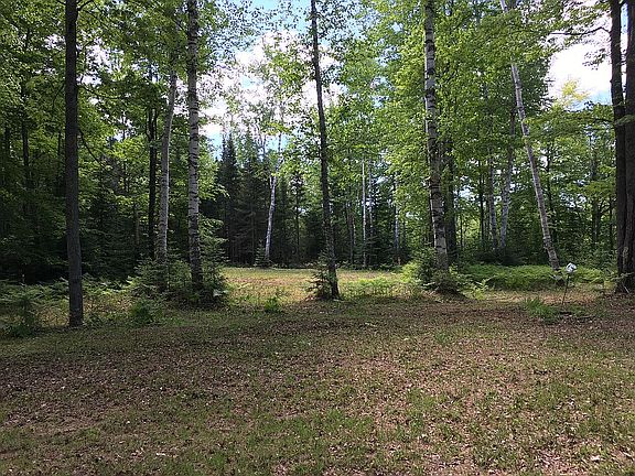 5th image of 12237 County Road 442