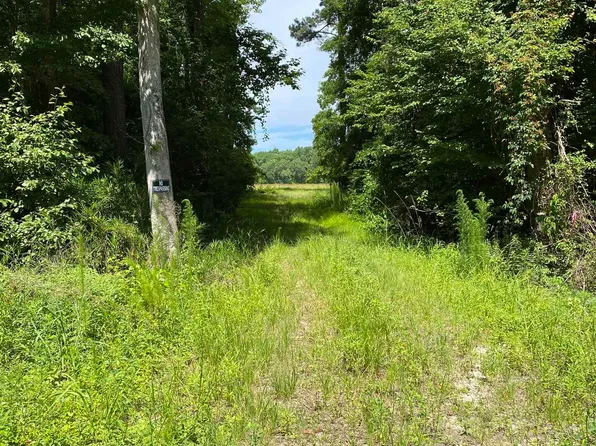 TBD Boggy Rd. #310 Laurel St., Conway, SC 29526