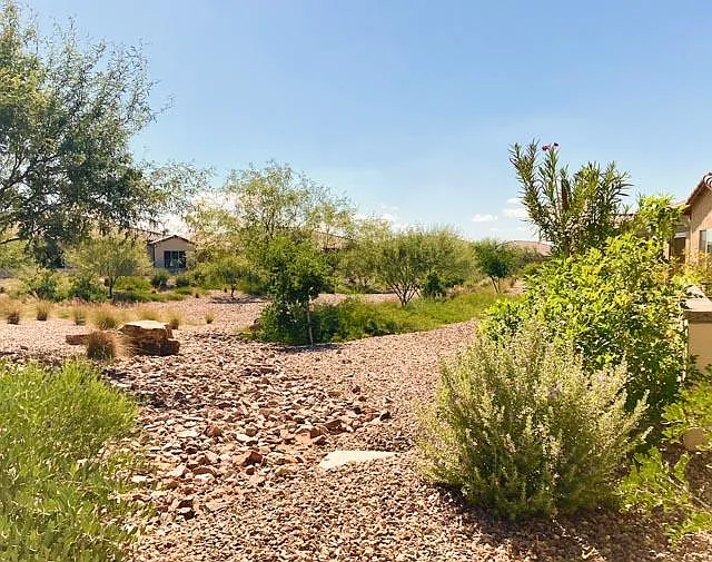 Backyard view