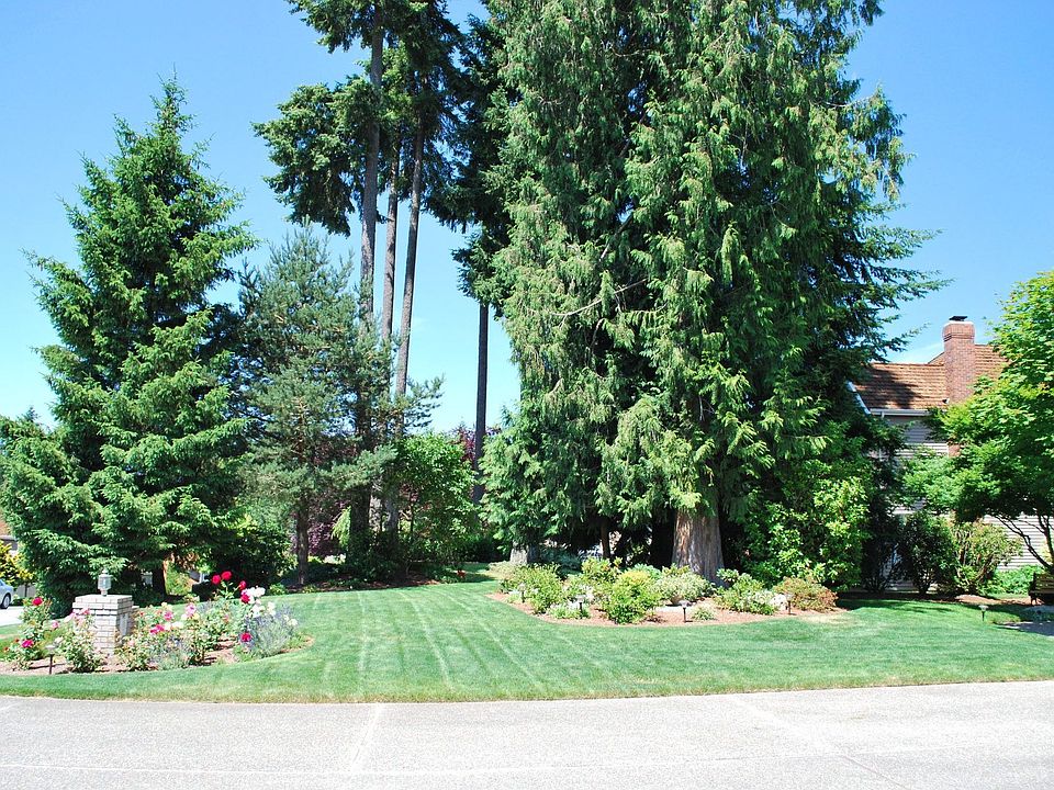 West facing - front