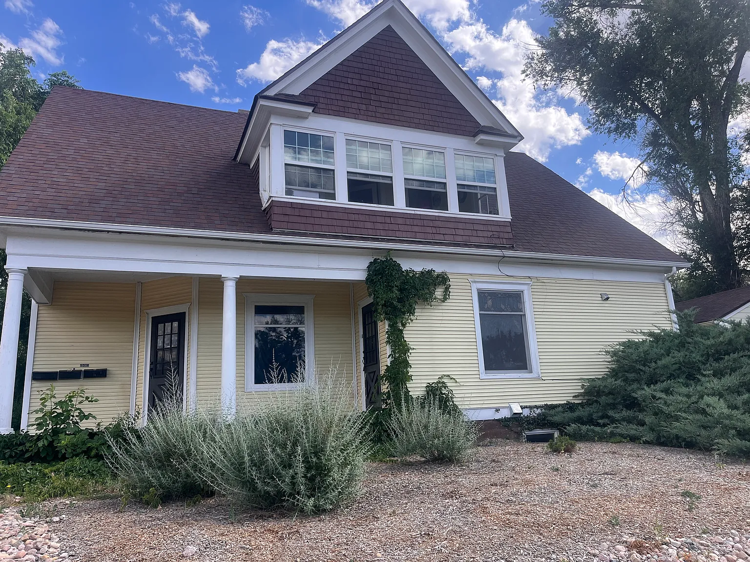 3 bed, 800 sqft, $1,450 — Photo 1