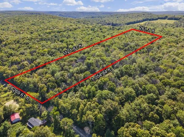 282 Vennel Rd, Van Etten, NY 14889