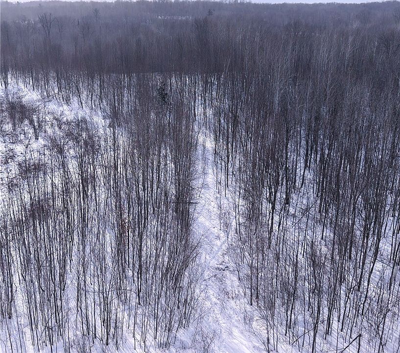1st image of 00 155th Ave