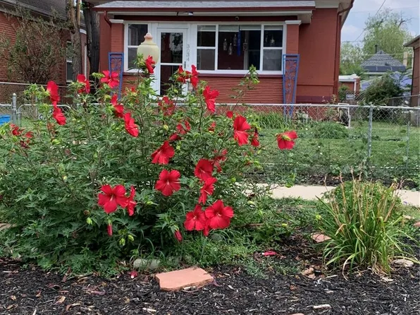 3034 N Race Street, Denver, CO 80205