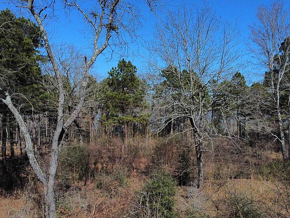 4th image of 3176 Shadow Pine Dr