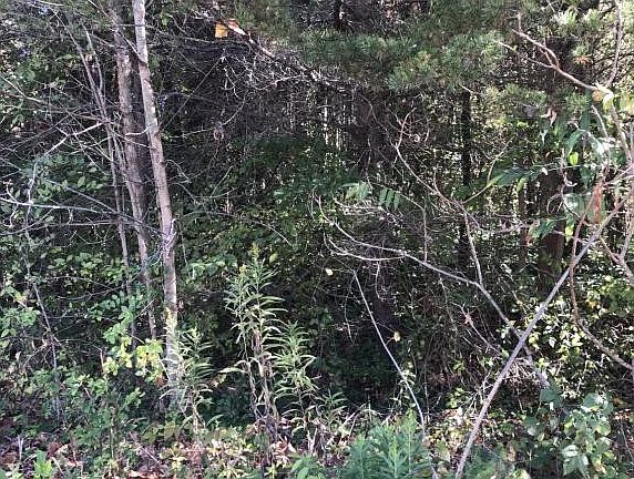 3rd image of LOT 16 Sussex Dr