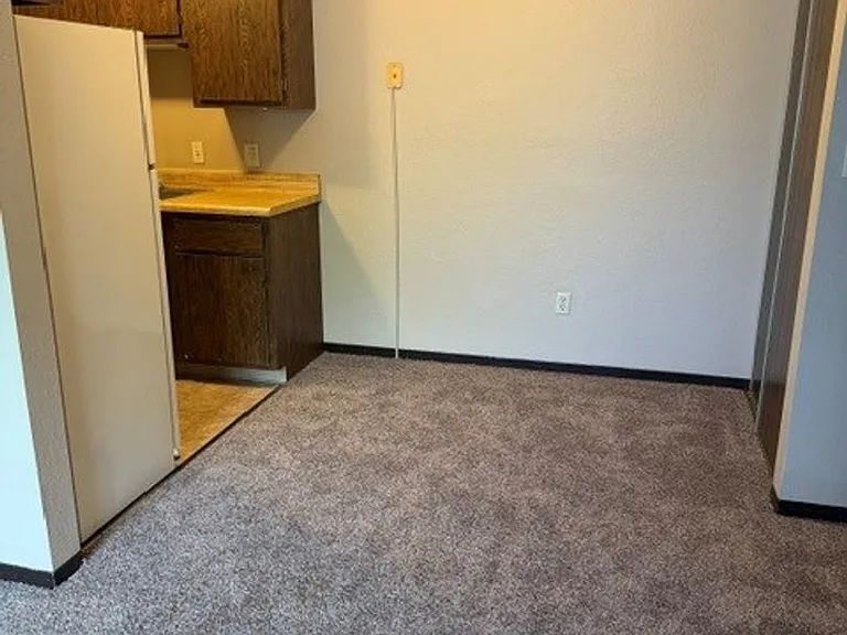 1005 5th St S #1010 — Photo 5