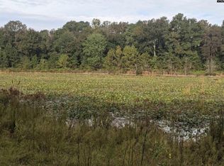 150 Third Branch Rd, Swansea, SC 29160